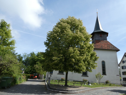 2026-05-19-SAC-Kyburg-Eschentu-029
