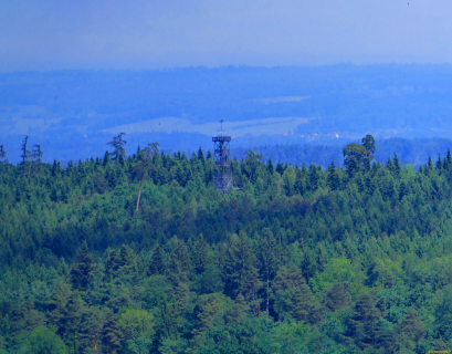 2026-05-19-SAC-Kyburg-Eschentu-067_bearbeitet-1
