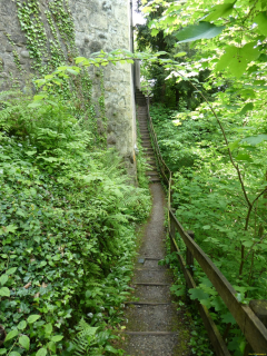 2026-05-19-SAC-Kyburg-Eschentu-077