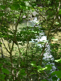 2026-05-19-SAC-Kyburg-Eschentu-089