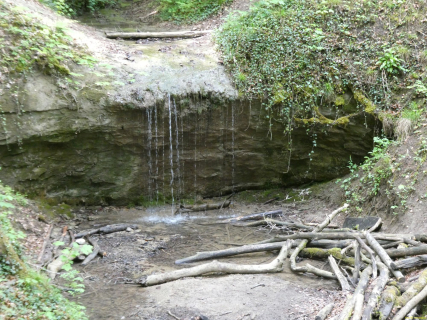 2026-05-19-SAC-Kyburg-Eschentu-104