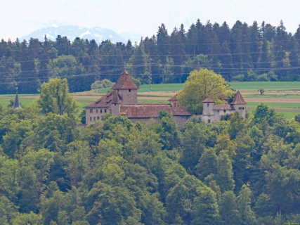 2026-05-19-SAC-Kyburg-Eschentu-117_bearbeitet-1