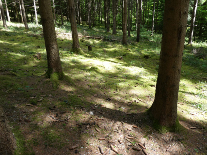 2026-05-19-SAC-Kyburg-Eschentu-129