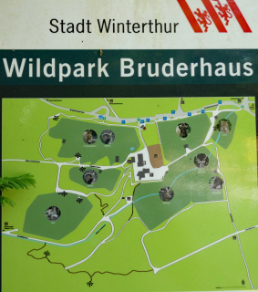 2026-05-19-SAC-Kyburg-Eschentu-130_bearbeitet-1