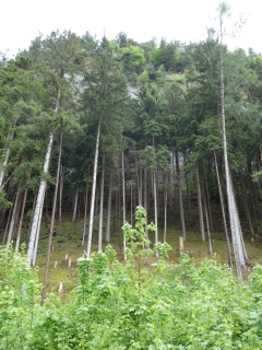 2026-05-12-SAC-RS-Oerflaschluch-017