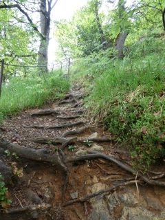 2026-05-12-SAC-RS-Oerflaschluch-041