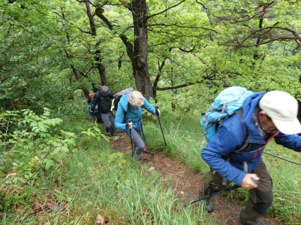 2026-05-12-SAC-RS-Oerflaschluch-042