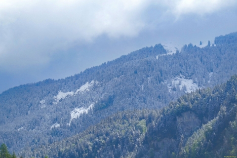 2026-05-12-SAC-RS-Oerflaschluch-066_bearbeitet-1