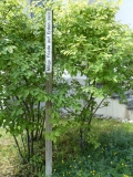 2026-05-12-SAC-RS-Oerflaschluch-067