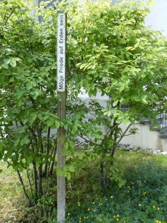 2026-05-12-SAC-RS-Oerflaschluch-067