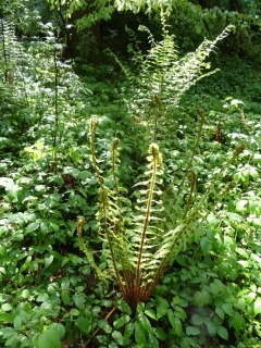 Z 2026-05-12-SAC-RS-Oerflaschluch-070