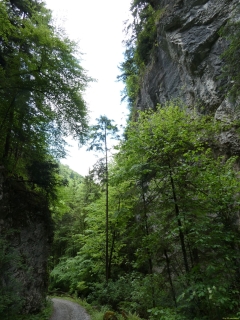 2026-05-12-SAC-RS-Oerflaschluch-075