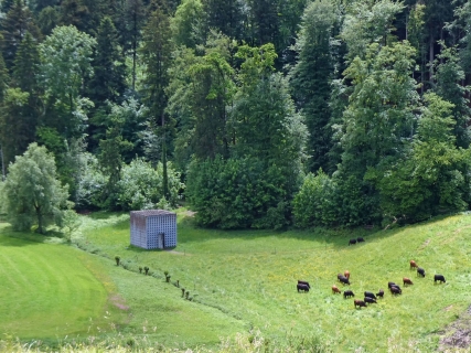 2026-05-12-SAC-RS-Oerflaschluch-091_bearbeitet-1