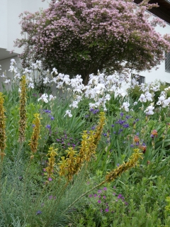 2026-05-12-SAC-RS-Oerflaschluch-094