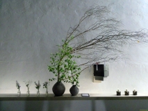2026-05-12-SAC-RS-Oerflaschluch-097_bearbeitet-1
