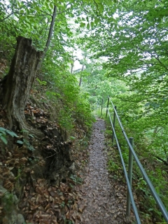 2026-05-12-SAC-RS-Oerflaschluch-103_bearbeitet-1