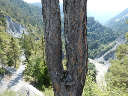 2026-08-11-SAC-Trin-Versam-Bhf-070