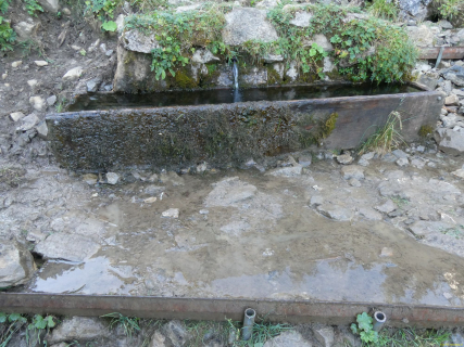 2026-07-28-SAC-A-Bogartenfirst-025