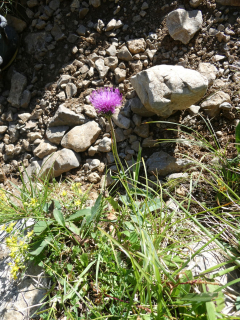 2026-07-28-SAC-A-Bogartenfirst-029