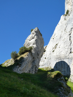 2026-07-28-SAC-A-Bogartenfirst-056