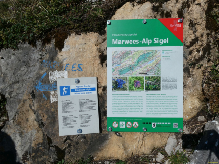 2026-07-28-SAC-A-Bogartenfirst-078