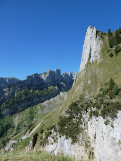 2026-07-28-SAC-A-Bogartenfirst-088