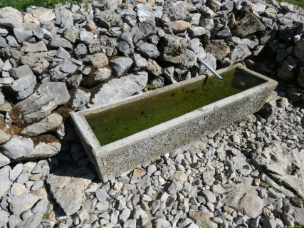 2026-07-28-SAC-A-Bogartenfirst-091