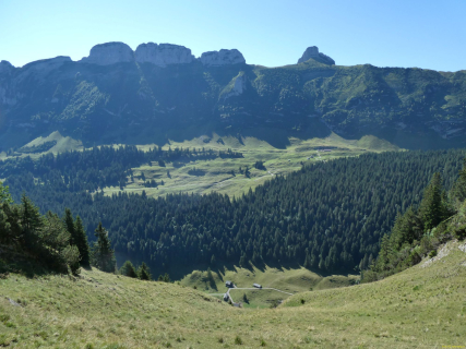 2026-07-28-SAC-A-Bogartenfirst-093