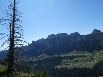 2026-07-28-SAC-A-Bogartenfirst-098