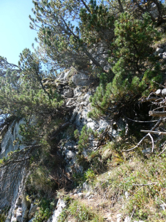 2026-07-28-SAC-A-Bogartenfirst-108