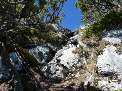 2026-07-28-SAC-A-Bogartenfirst-111
