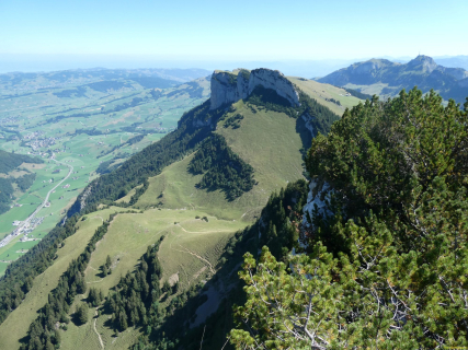 2026-07-28-SAC-A-Bogartenfirst-141