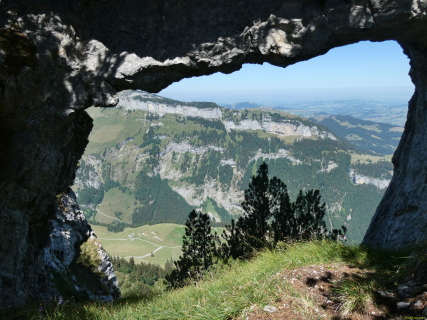2026-07-28-SAC-A-Bogartenfirst-150