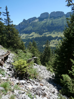 2026-07-28-SAC-A-Bogartenfirst-162