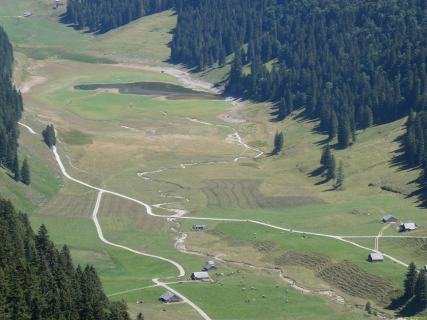 2026-07-28-SAC-A-Bogartenfirst-173