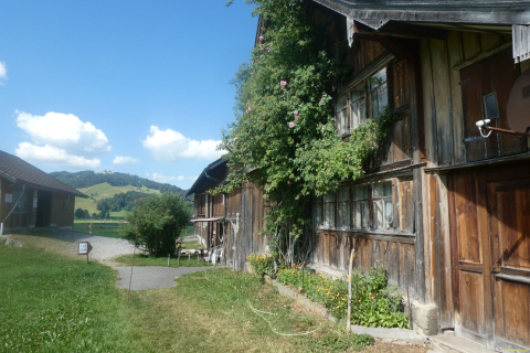 2026-07-09-SAC-Barfussweg-Goba-12