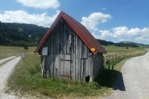 2026-07-09-SAC-Barfussweg-Goba-25