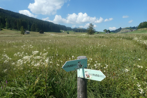 2026-07-09-SAC-Barfussweg-Goba-27