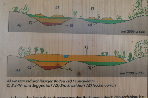 2026-07-09-SAC-Barfussweg-Goba-39