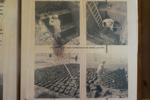 2026-07-09-SAC-Barfussweg-Goba-40