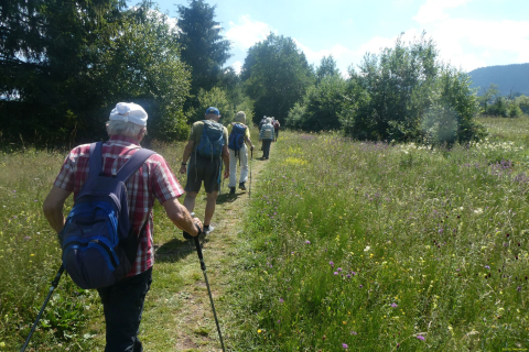 2026-07-09-SAC-Barfussweg-Goba-43