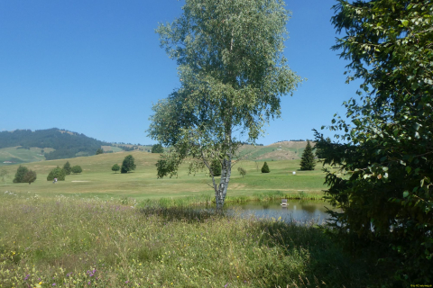 2026-07-09-SAC-Barfussweg-Goba-44