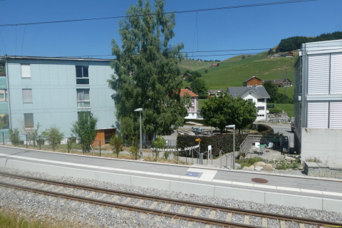 2026-07-09-SAC-Barfussweg-Goba-46