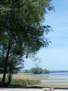 2026-05-21-SAC-E-Bike-Rohrspit-39