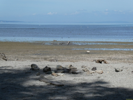 2026-05-21-SAC-E-Bike-Rohrspit-40