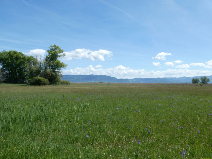 2026-05-21-SAC-E-Bike-Rohrspit-48