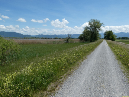 2026-05-21-SAC-E-Bike-Rohrspit-58