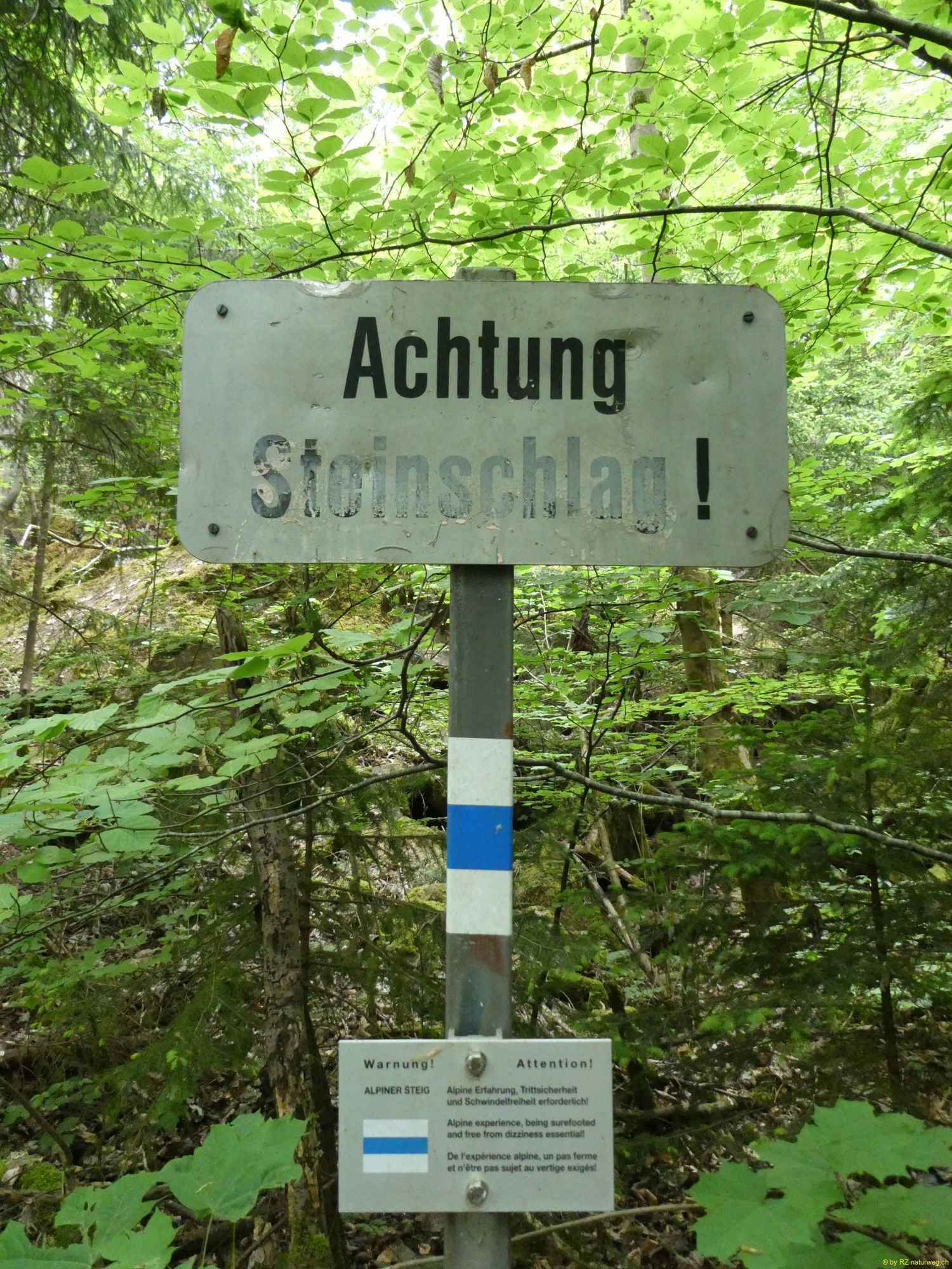 1778079071773