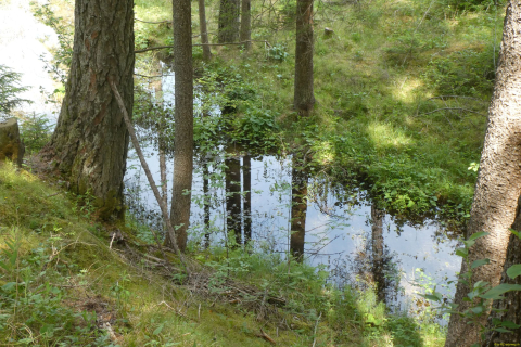 2026-06-07-TiefenkastelFilisur-075