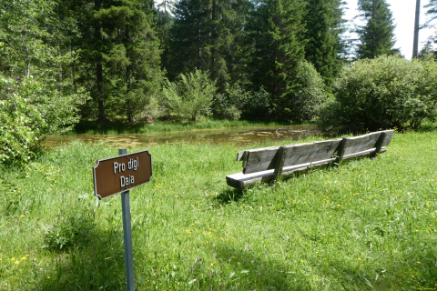 2026-06-07-TiefenkastelFilisur-076